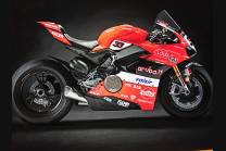 Complete and painted fairings with back seat Neoprene seat DUCV4ARPS