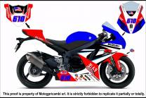 Complete and painted fairings GSX107 BLRED