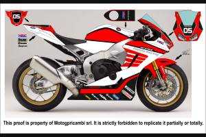 Complete and painted fairings HND10PESFR