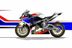 Complete and painted fairings HND10PESFR