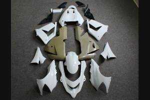Verkleidungen abs Kawasaki Zx10R 2004 - 2005 mit Kotflugel zu lackieren INJ - MXPCAD1096