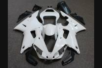 Verkleidungen abs Yamaha R1 2000 2001 mit Kotflugel zu lackieren - MXPCAD1108