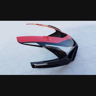 Complete and painted fairings with back seat Neoprene seat DUCV4LMT