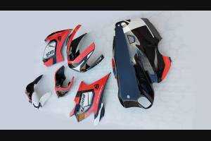 Complete and painted fairings with back seat Neoprene seat DUCV4LMT