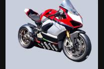 Complete and painted fairings with back seat Neoprene seat DUCV4WTRE