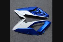 Complete and painted fairings in abs SBK15 2