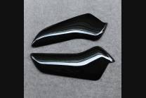 Complete and painted fairings in abs BLGRWT 2