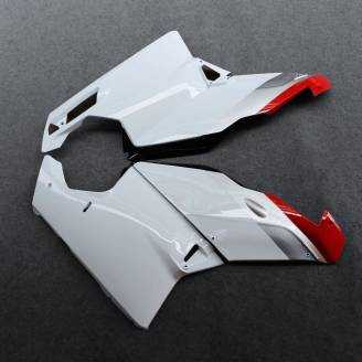 Complete and painted fairings in abs BLGRWT