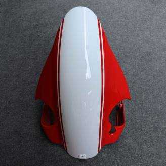 Complete and painted fairings in abs BLGRWT