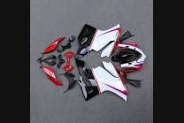 Complete and painted fairings in abs DUC99 SPL2