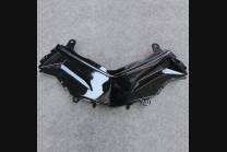 Carenados in abs completo e barnizado KWS 300 GRT 2