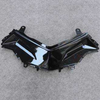 Complete and painted fairings in abs KWS 300 GRT 