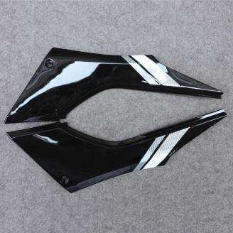 Complete and painted fairings in abs KWS 300 GRT 