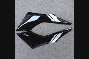 Complete and painted fairings in abs KWS 300 GRT 