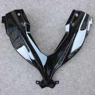 Complete and painted fairings in abs KWS 300 GRT 