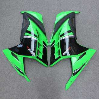 Complete and painted fairings in abs KWS 300 GRT 