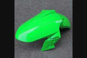 Complete and painted fairings in abs KWS 300 GRT 