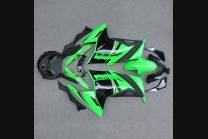 Complete and painted fairings in abs KWS 300 GRT 