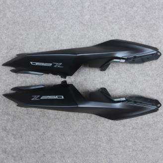 Complete and painted fairings in abs KWS 300 GRT 