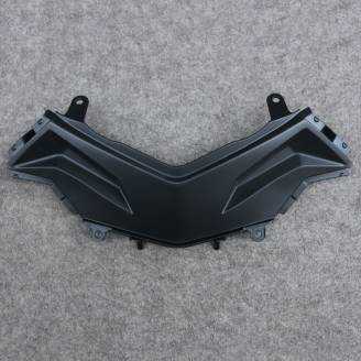 Complete and painted fairings in abs KWS 300 GRT 