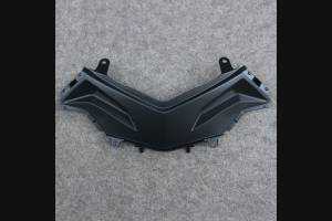 Complete and painted fairings in abs KWS 300 GRT 