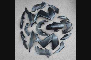 Complete and painted fairings in abs KWS 300 GRT 