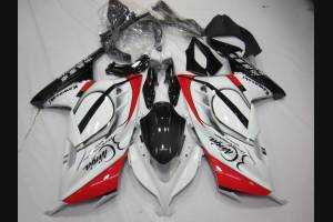 Complete and painted fairings in abs KWS 300 GRT 