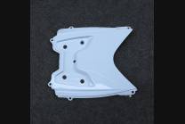 Carene in abs complete e verniciate GSX 6U YLBL 2