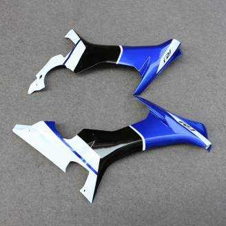 Complete and painted fairings in abs YMH R1 EDRN