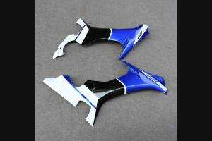 Complete and painted fairings in abs YMH R1 EDRN