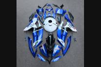 Complete and painted fairings in abs BLR6