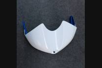 Complete and painted fairings in abs BLR6 2