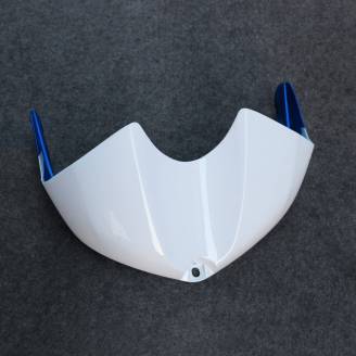 Complete and painted fairings in abs BLR6
