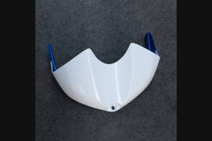 Complete and painted fairings in abs BLR6