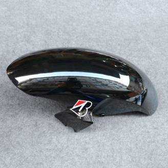 Complete and painted fairings in abs BLR6