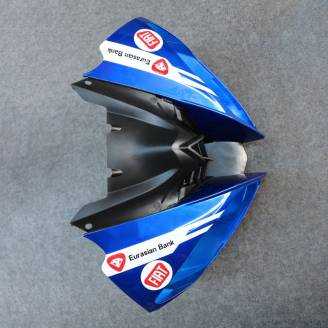 Complete and painted fairings in abs BLR6