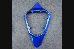 Complete and painted fairings in abs BLR6