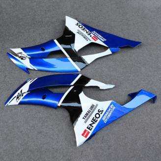 Complete and painted fairings in abs BLR6