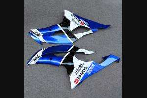 Complete and painted fairings in abs BLR6