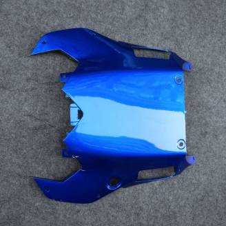 Complete and painted fairings in abs BLR6