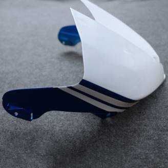 Complete and painted fairings in abs BLR6