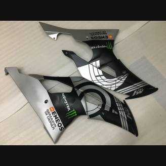 Complete and painted fairings in abs BLR6