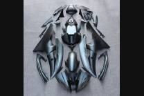 Complete and painted fairings in abs BLR6