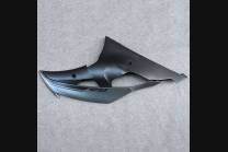 Complete and painted fairings in abs BLR6 2