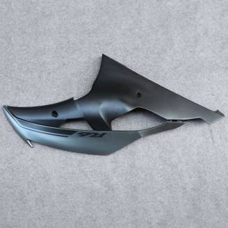 Complete and painted fairings in abs BLR6