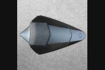 Complete and painted fairings in abs BLR6