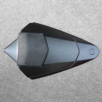 Complete and painted fairings in abs BLR6