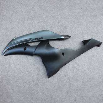 Complete and painted fairings in abs BLR6