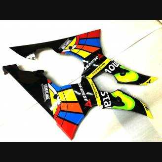 Complete and painted fairings in abs BLR6