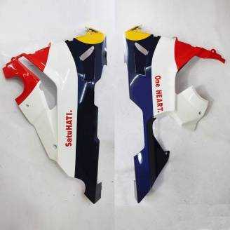 Carene in abs complete e verniciate HND CBR 1 D RPS2